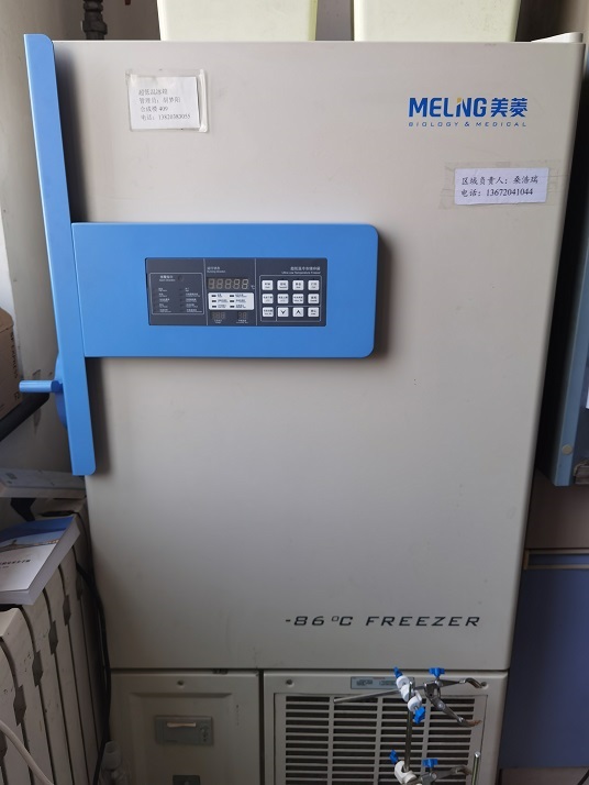 Ultra-low Temperature Freezer