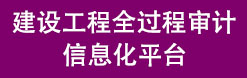 建设工程全过程审计信息化平台